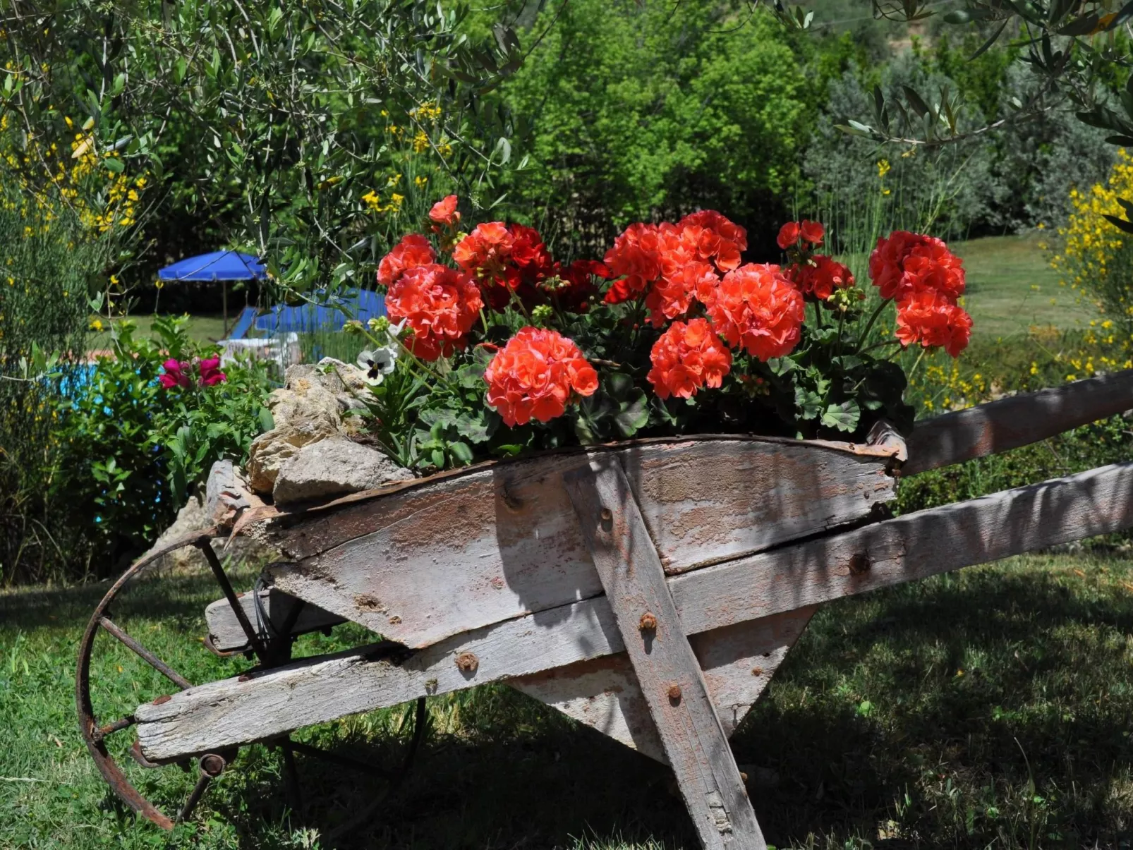 Wohnung 'Madonnino Bilo 4-Buiten