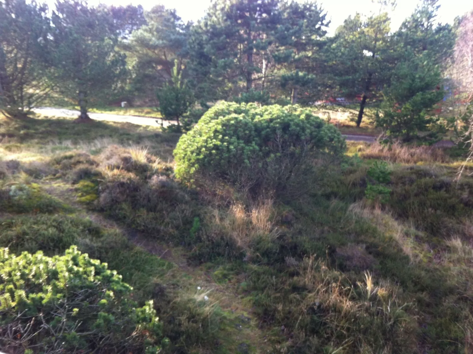 Rømø UNESCO WELTERBE-Buiten