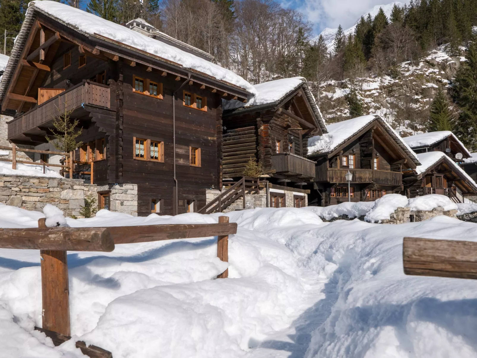 Chalet Borgo Walser Testa 5 - Buiten