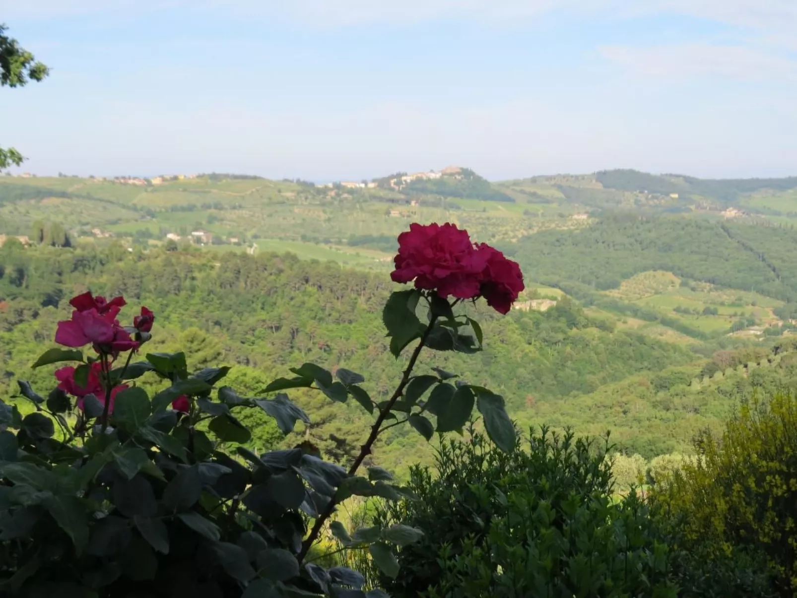Podere Campolungo - Lo Studio-Buiten