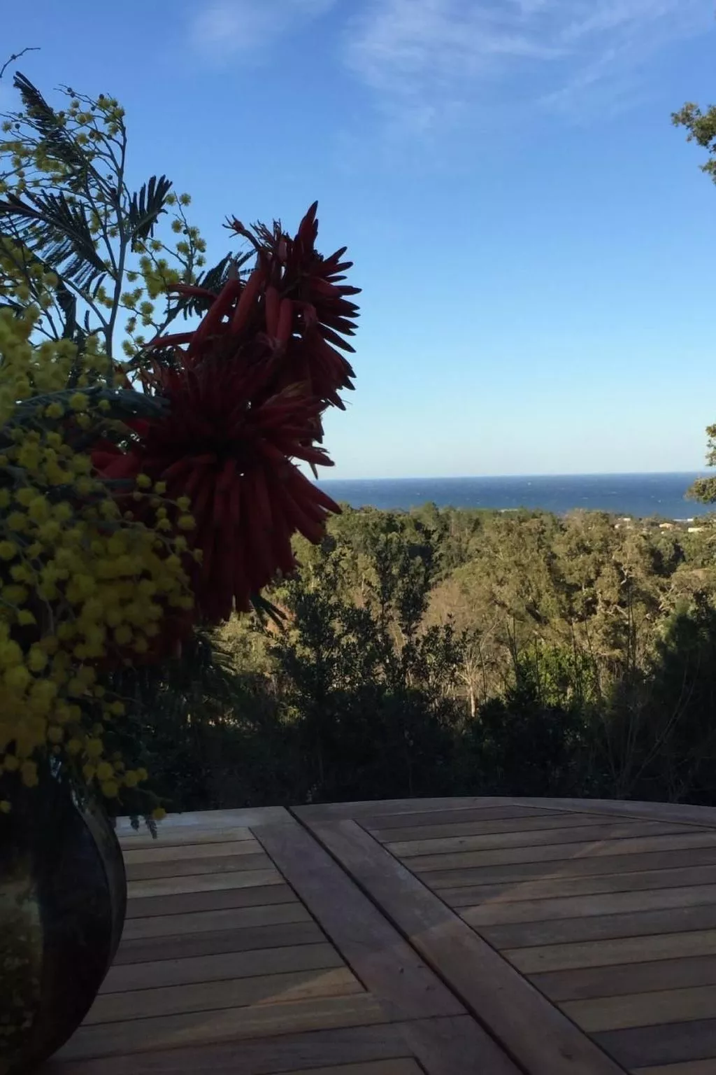 Villa Belle Vue, direkt am Meer, 1-2 Haustiere erlaubt-Buiten