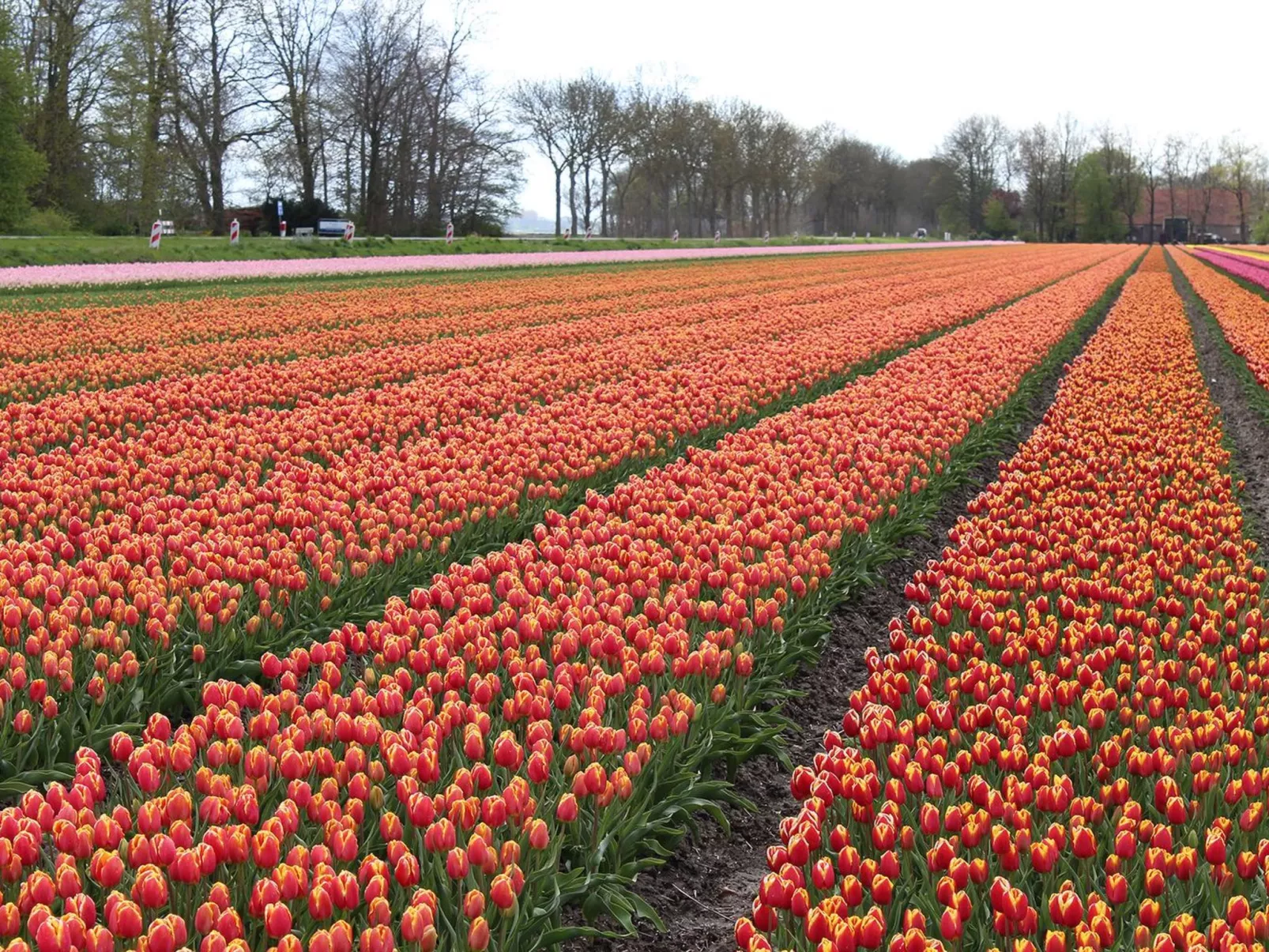 Jessy-Image-tags.info