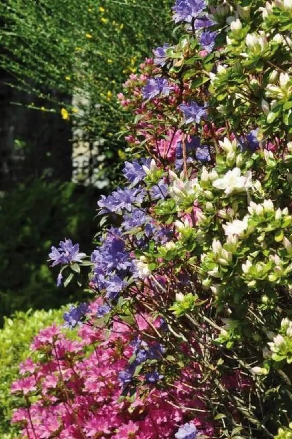 Villa Cresta Bianca-Buiten