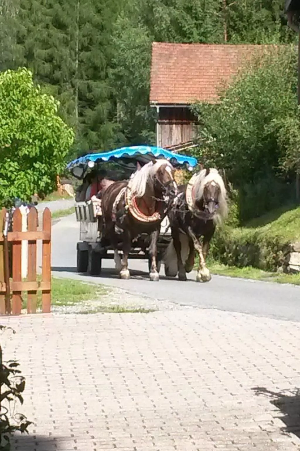 FeWo Steinbeisser-Buiten