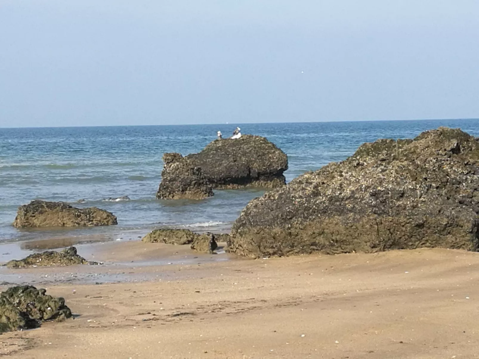 Joli studio pour 2 personnes-Buiten