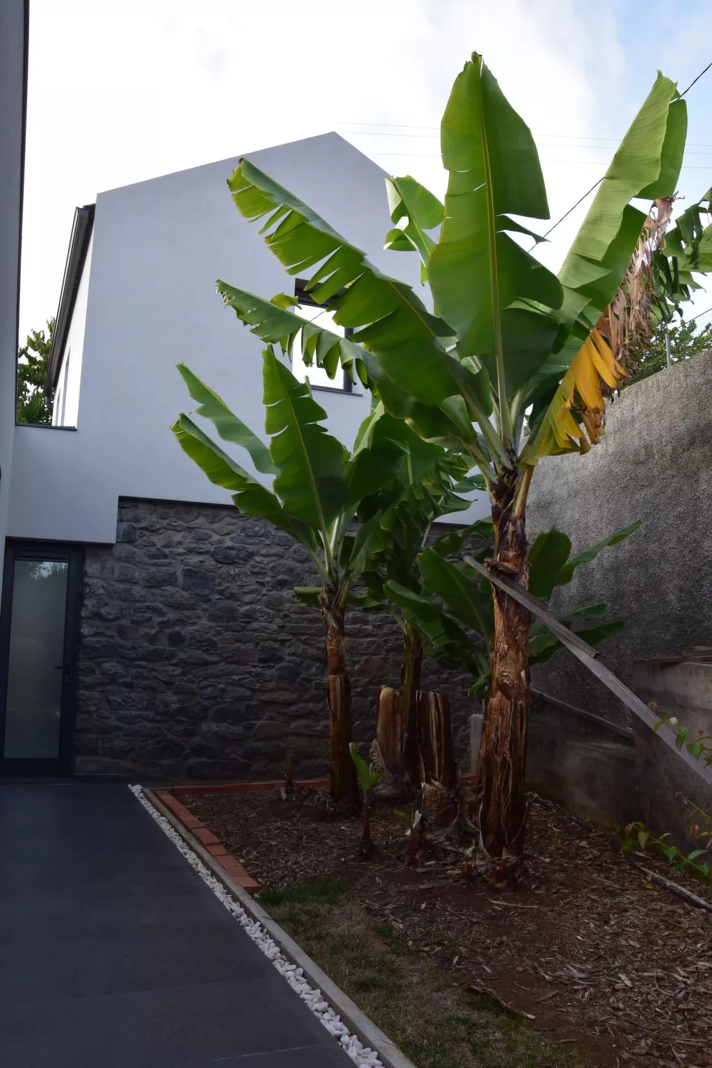 In Estreito Da Calheta mit Privatem Pool und Meerblick-Buiten