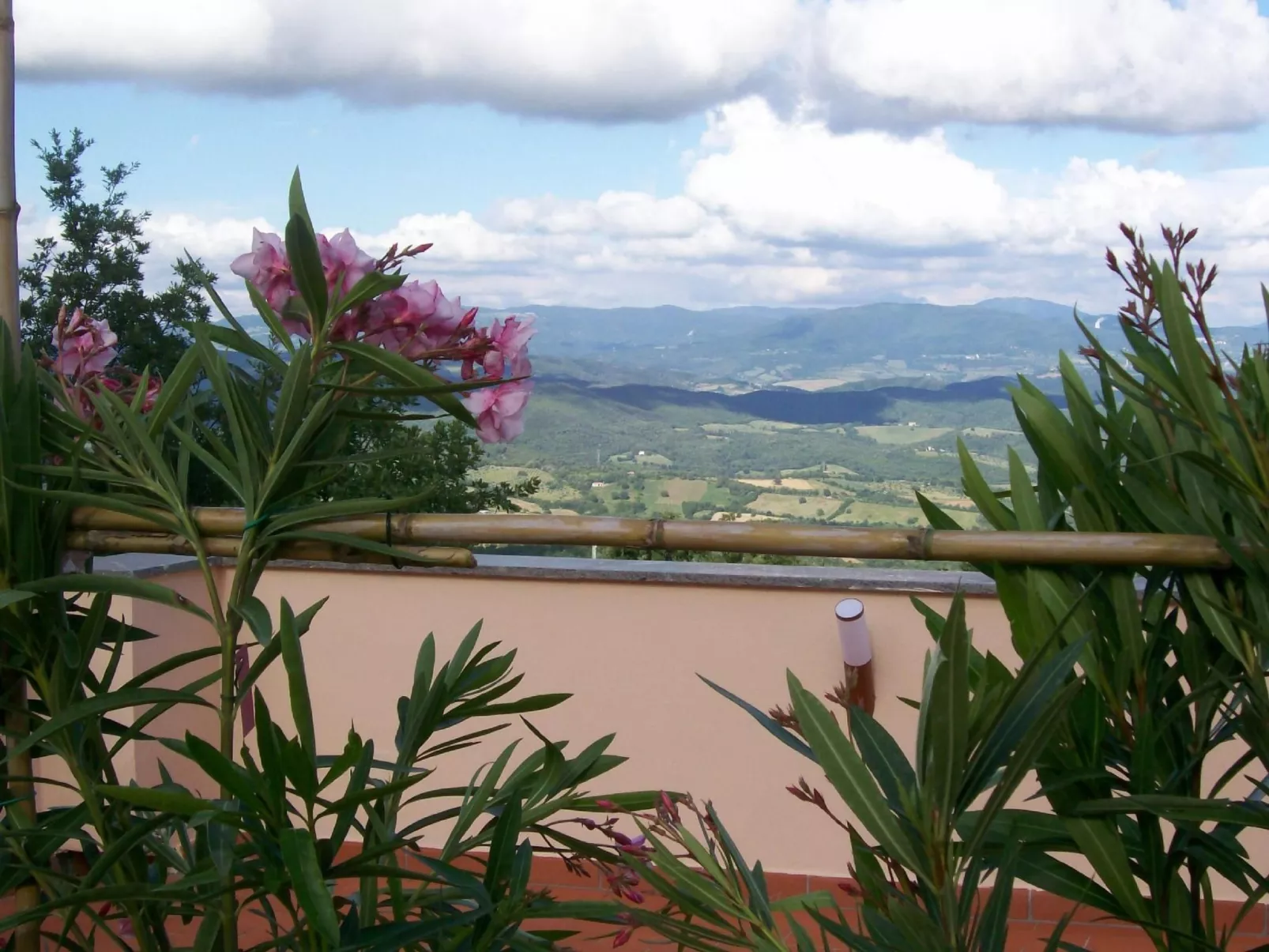 Komfortable und entspannende Wohnung-Buiten