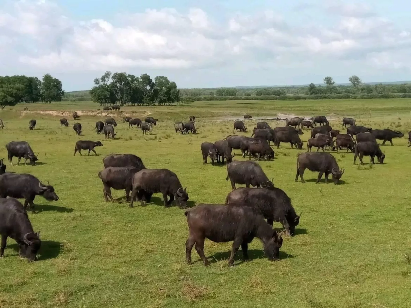 Schöne Ferienwohnung in Zalakaros-Buiten