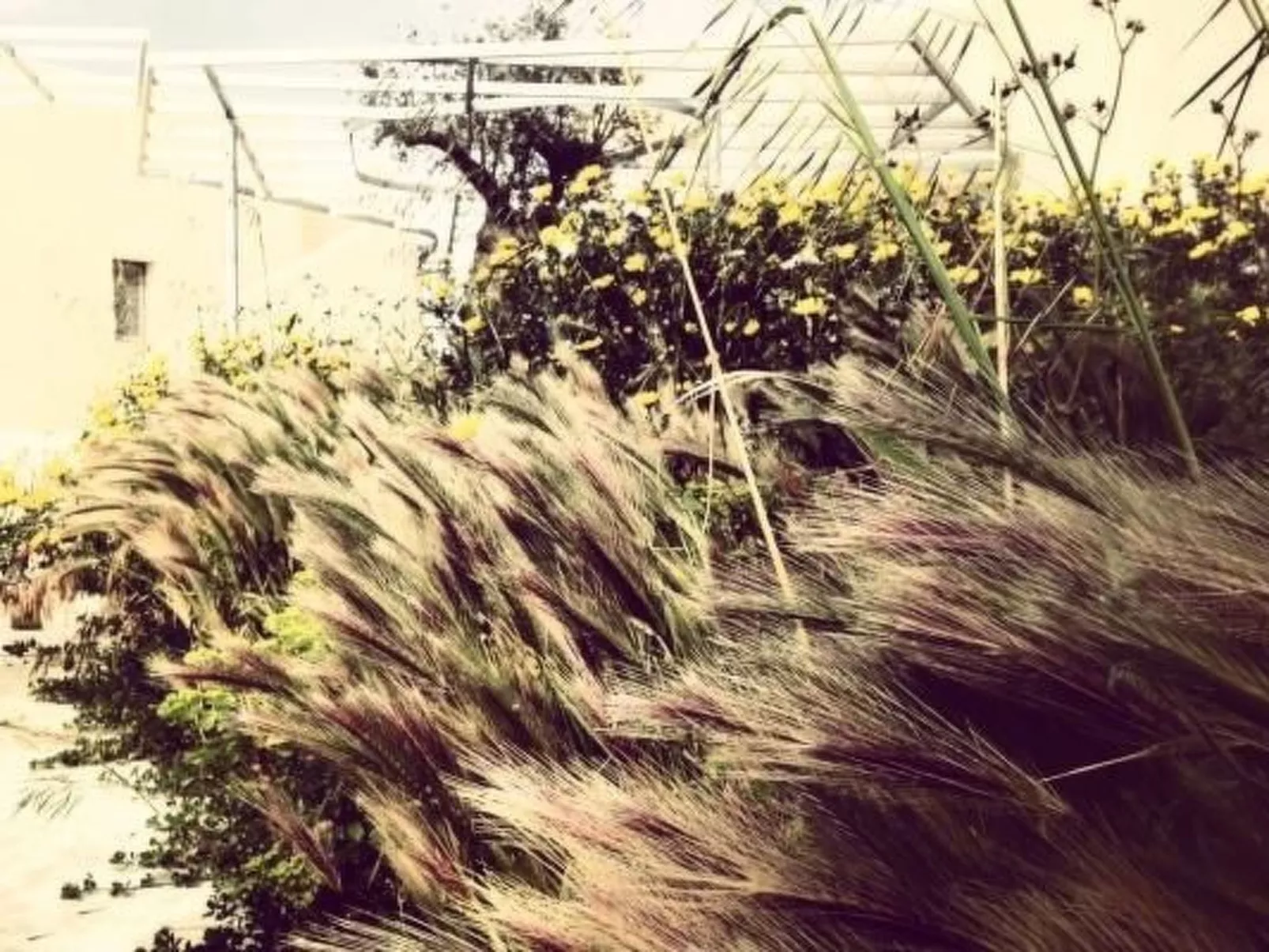 Villa Vendicari Junior-Image-tags.info