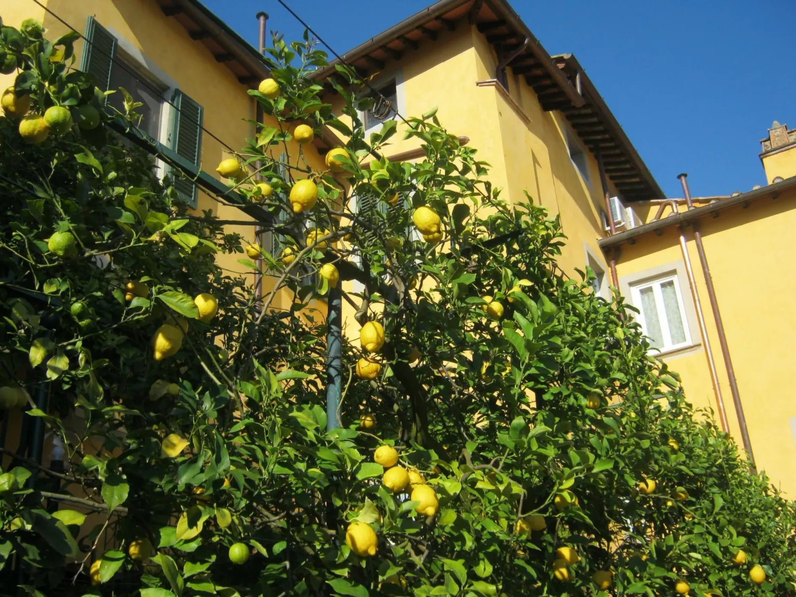 Wohnung 'The Lemon' mit Privatparkplatz - Buiten