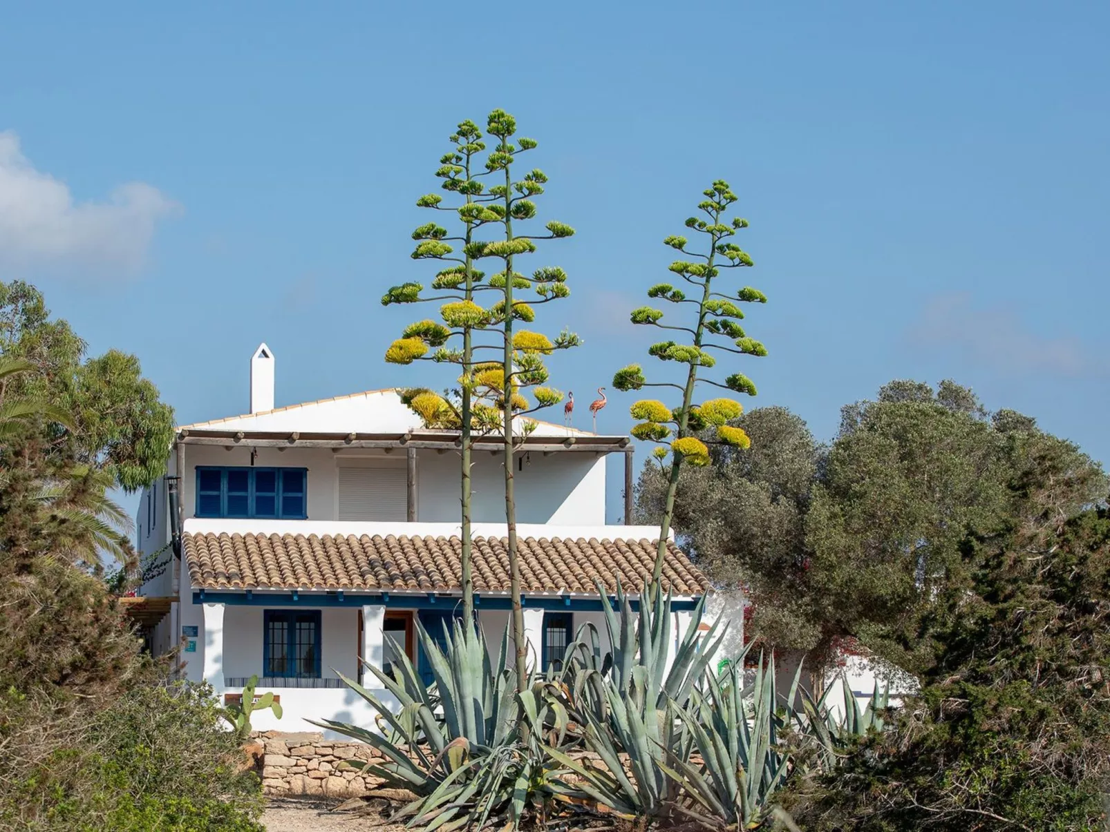 Casa Llevant 4 pax-Buiten