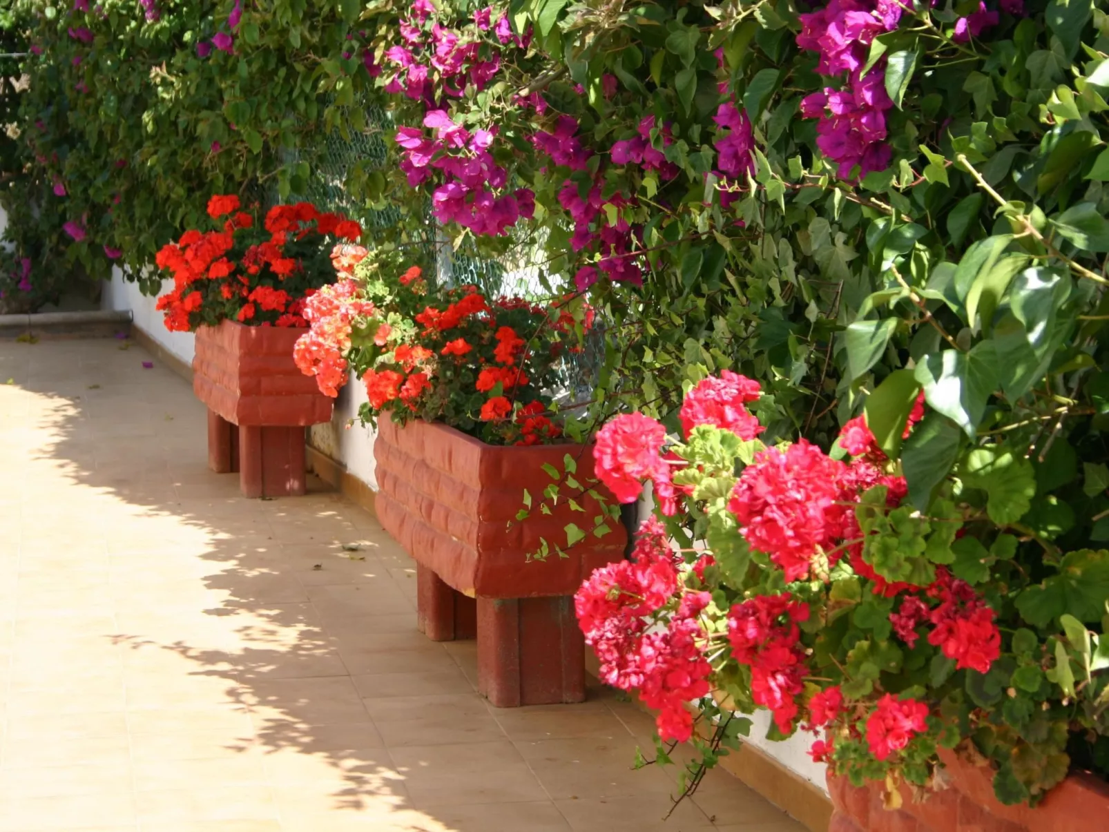 Typisch kanarische Finca Elena mit eigenem Pool-Buiten