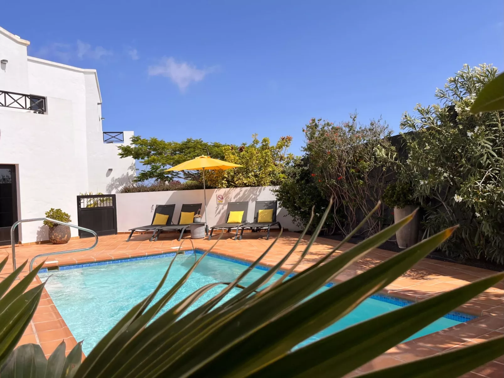 Casa Árbol del Fuego-Buiten