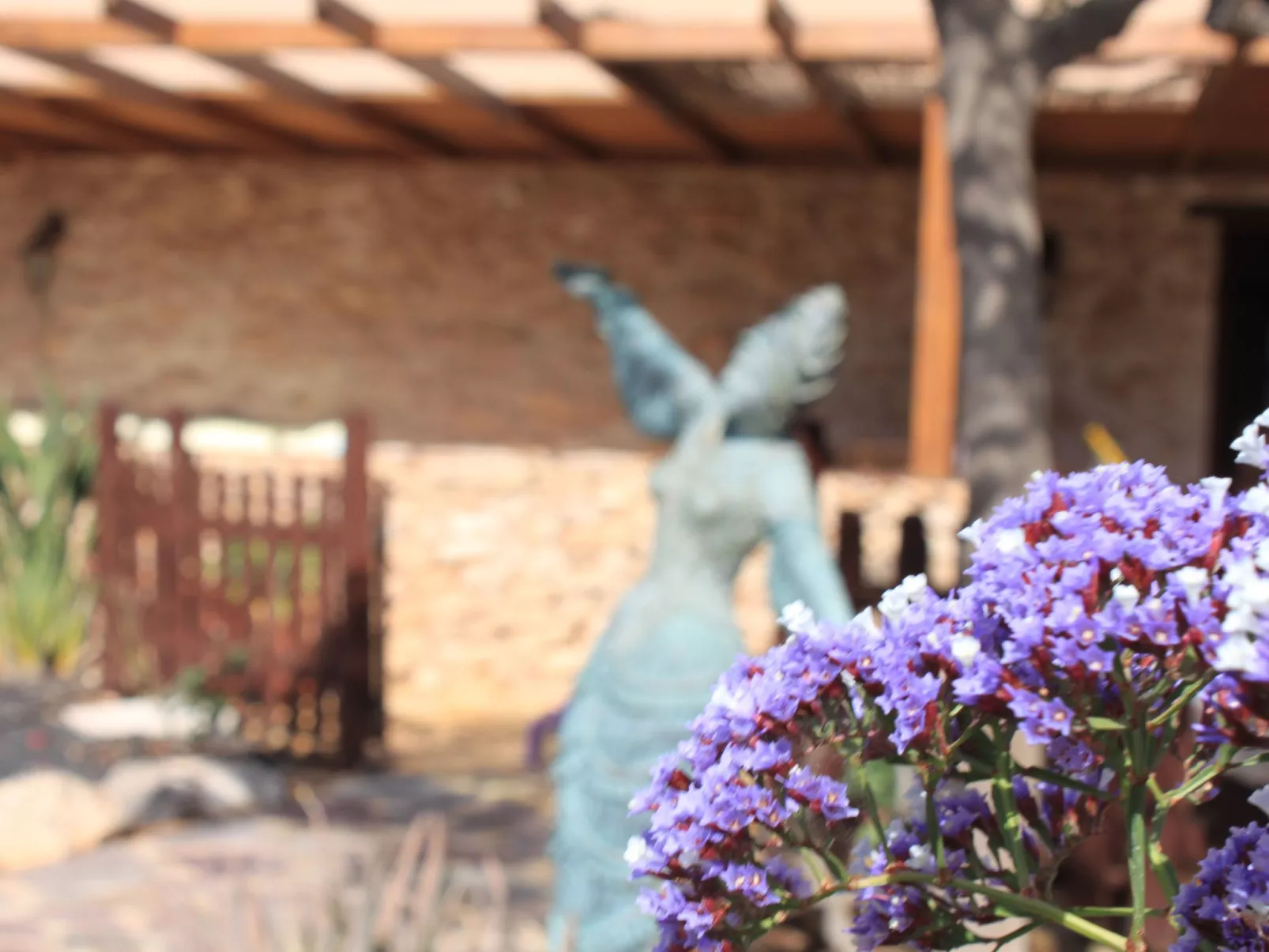 Kanarisches Haus mit privatem Pool und Garten-Buiten