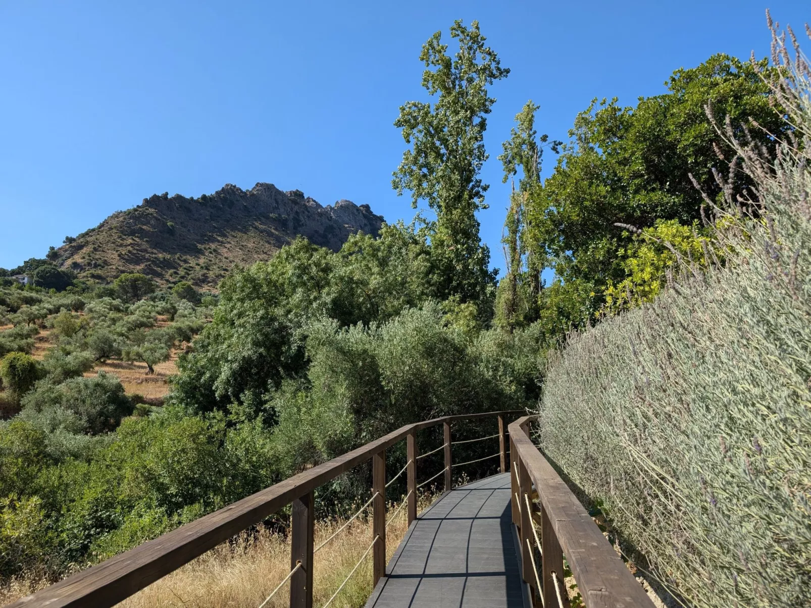 Gemütliches Landhaus Betania in Grazalema-Buiten