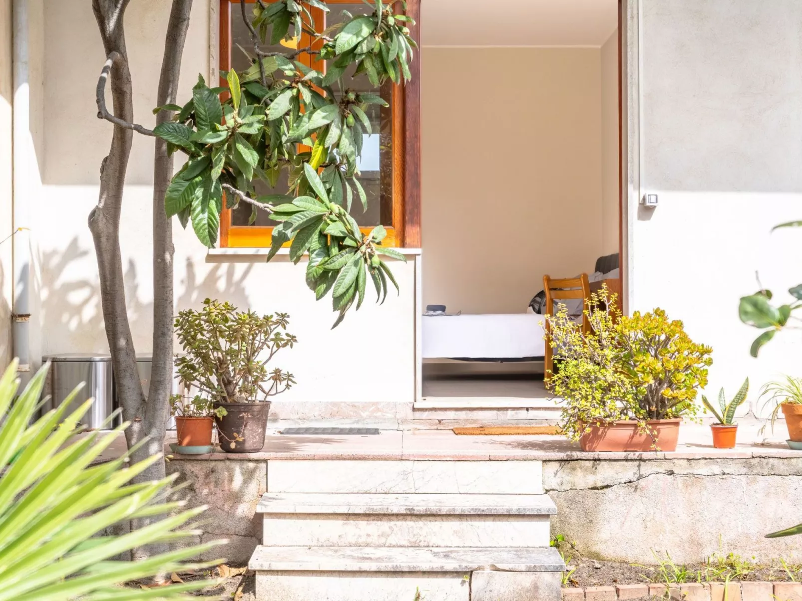 Die Orange und der Goldfisch-Image-tags.info