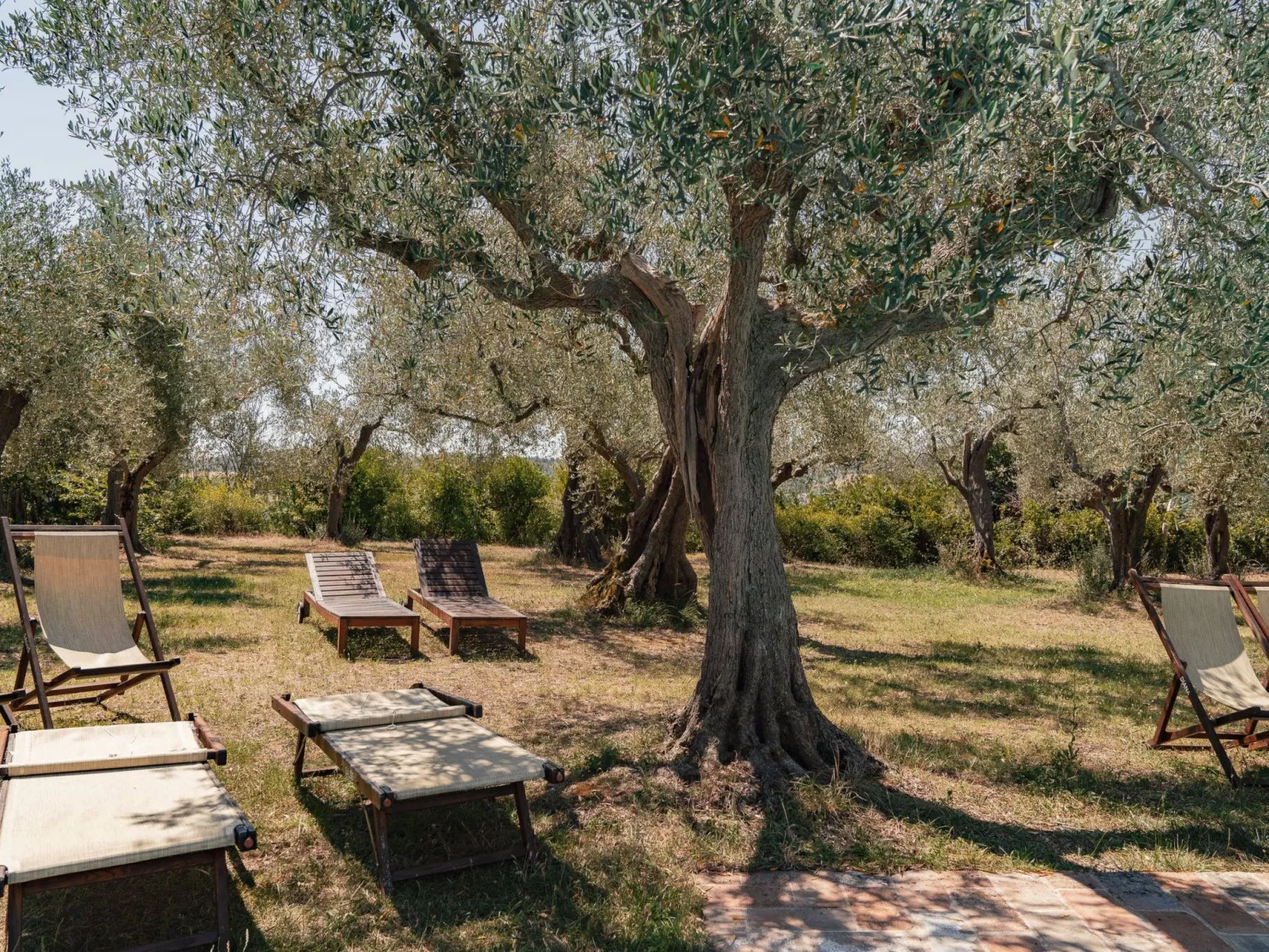 Mit Garten und Schwimmbad in den Hügeln der Marken.-Buiten