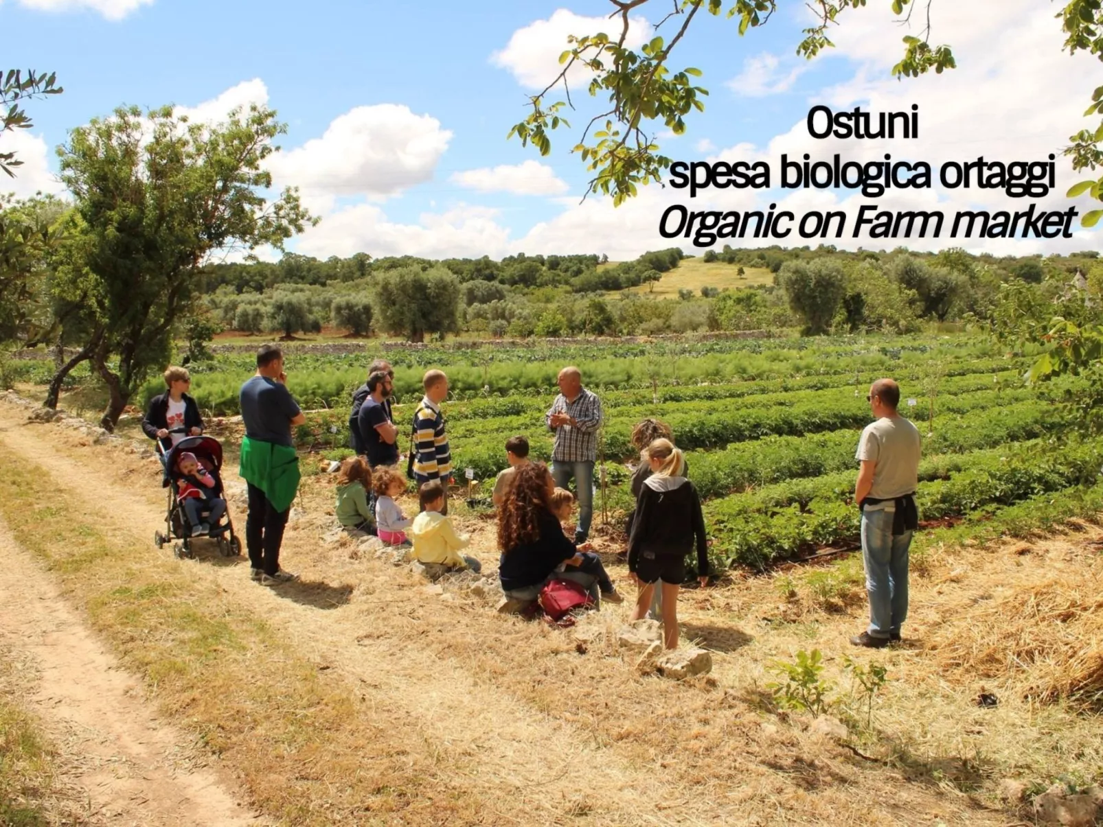 La Corte della Masseria-Image-tags.info