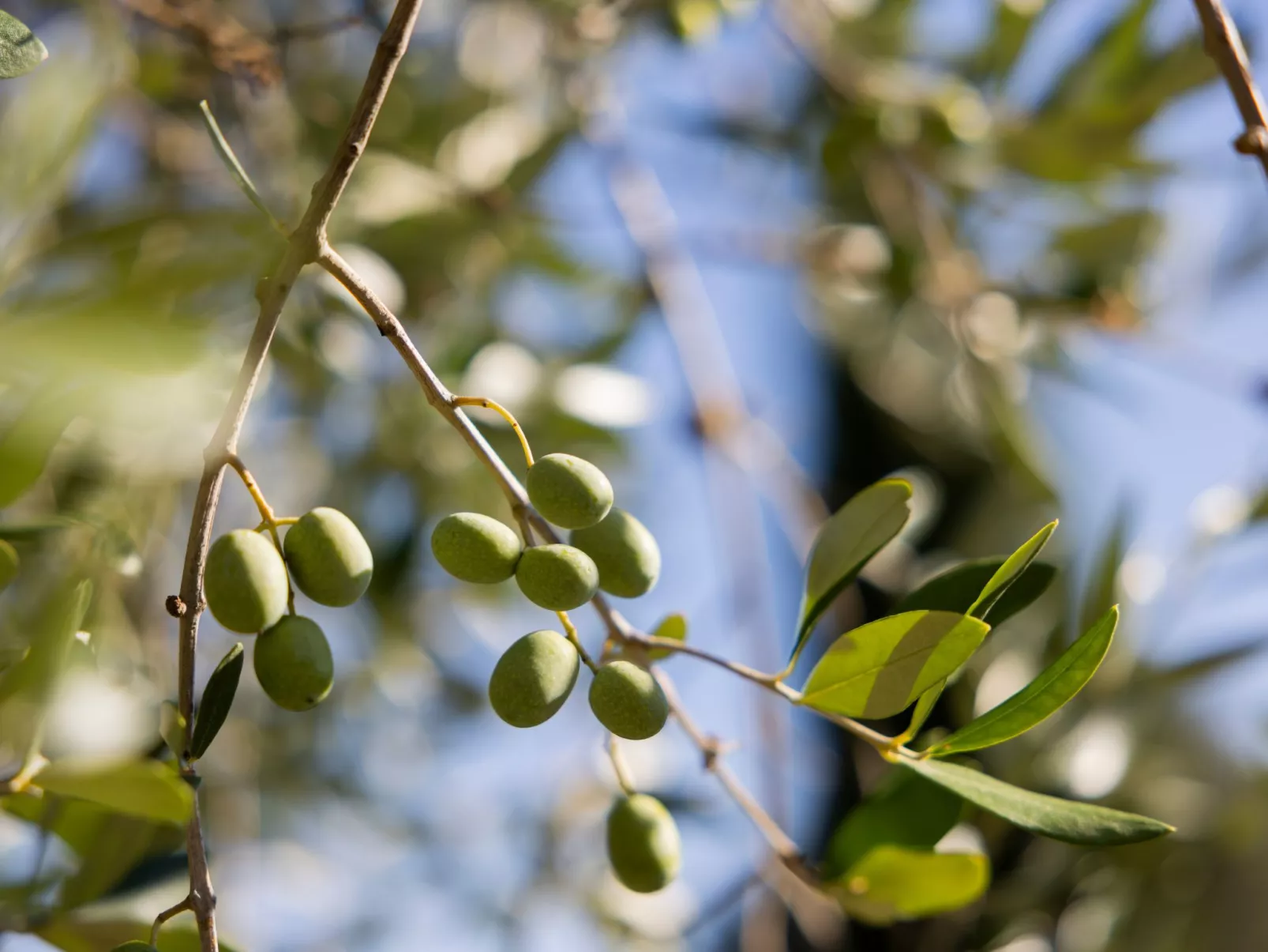 Landgut mit eigenem Parkplatz-Buiten