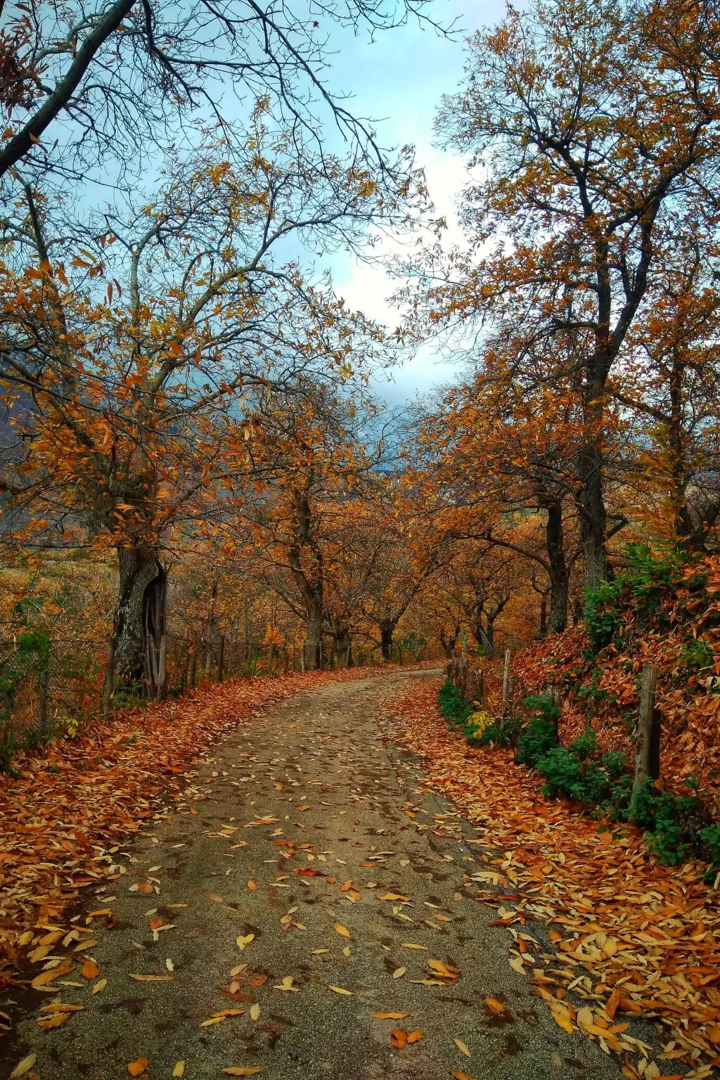 La Casa della Rocca für einen erholsamen Aufenthalt-Image-tags.info
