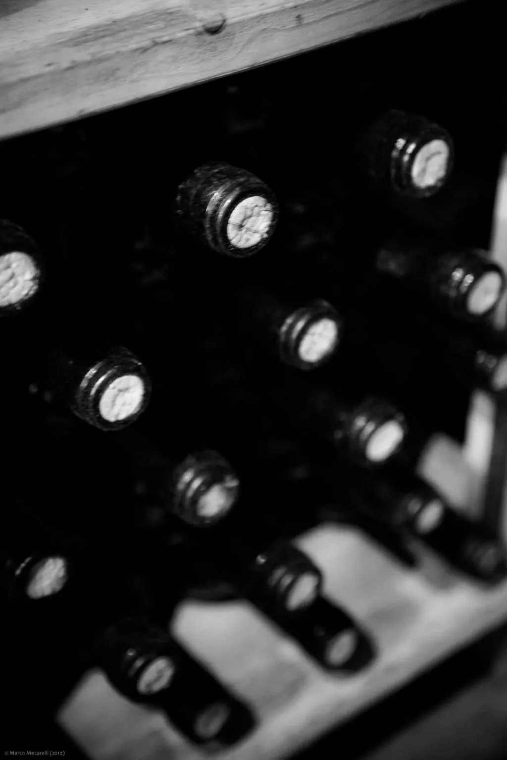 Grünes Appartement-Binnen