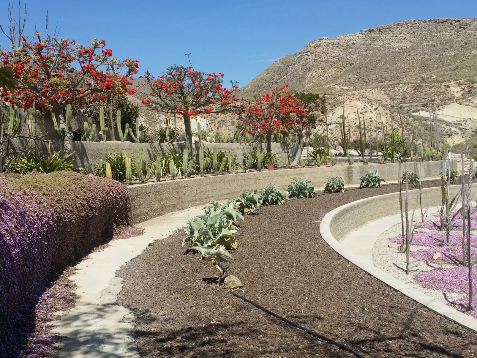 Schöne Villa für 6 Personen mit Schwimmbad-Image-tags.info