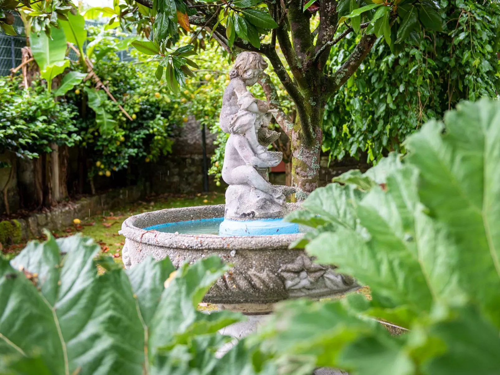 Villa "Casa dos Pazos" mit privatem Pool-Image-tags.info