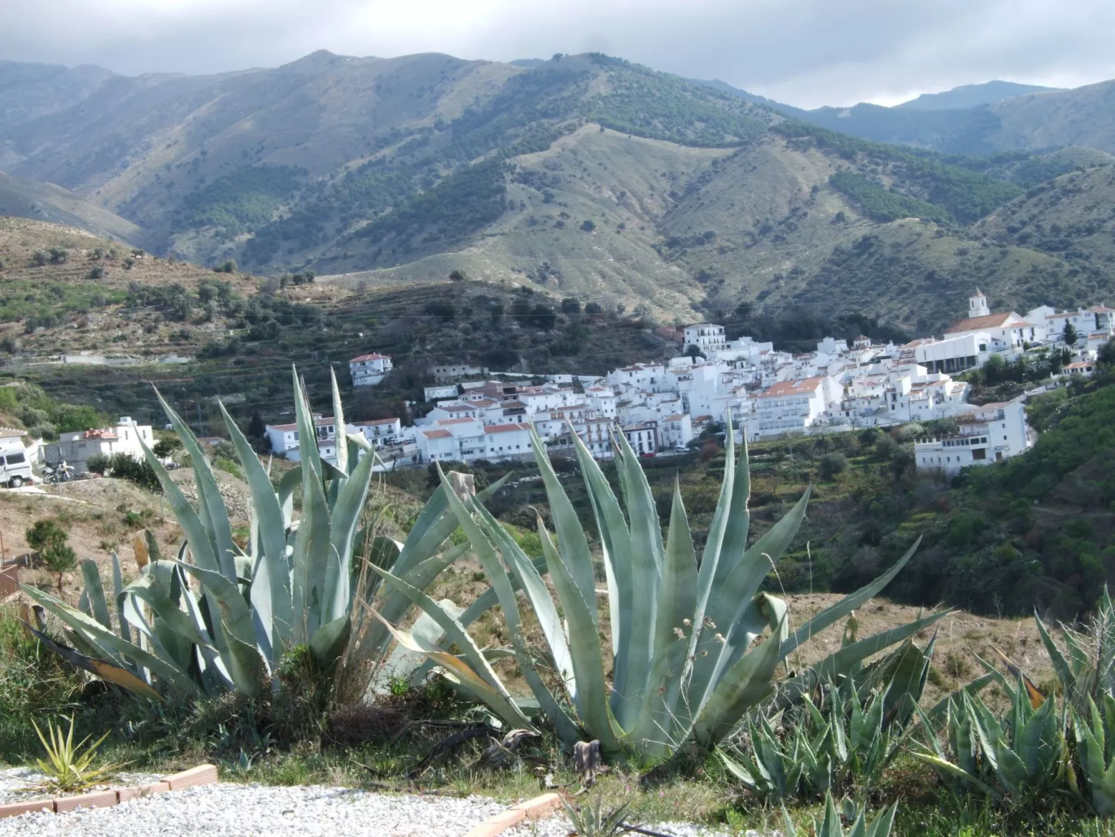 Finca 'Casa Siete Arcos' - Buiten