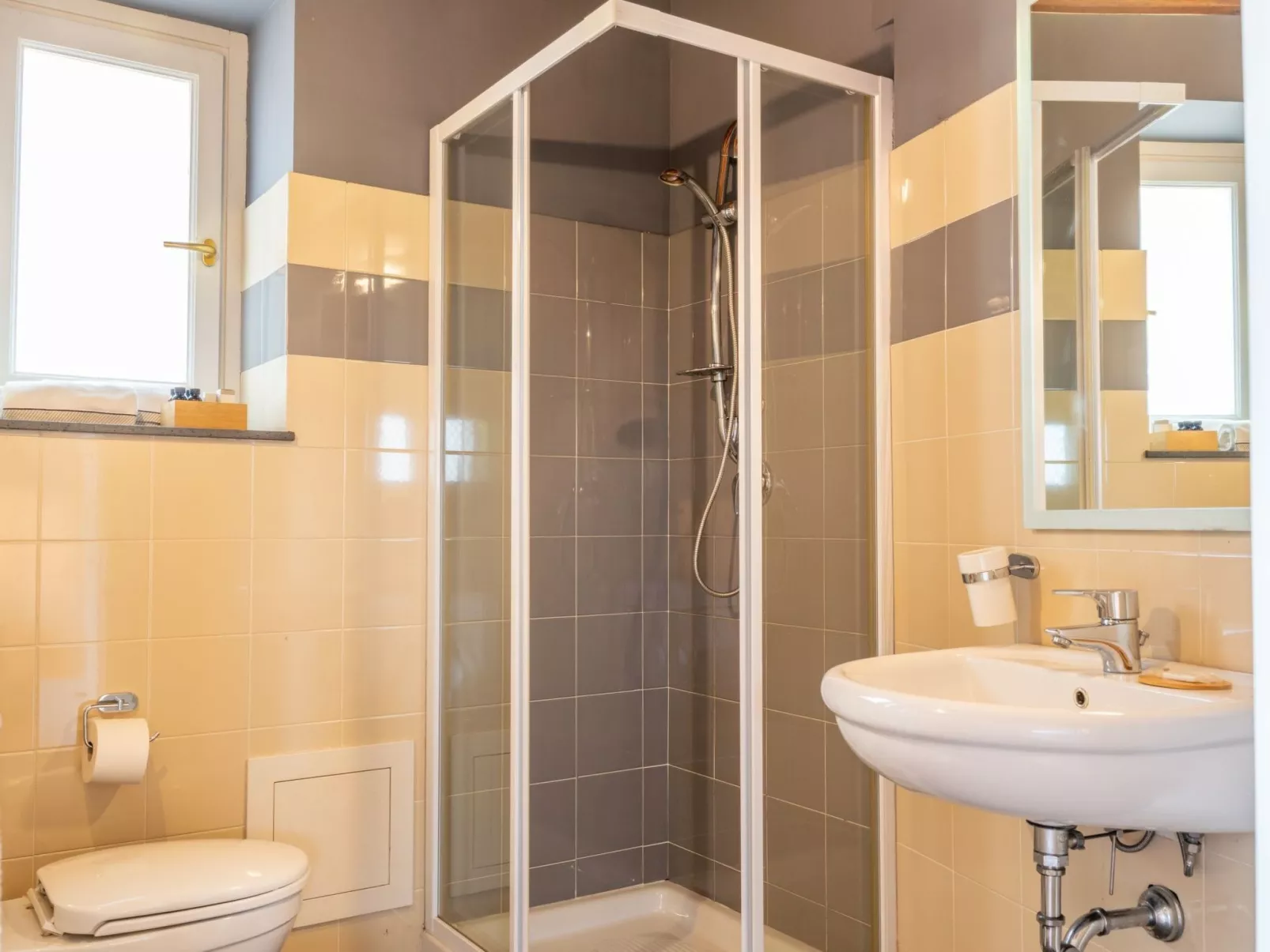 Avocado Garten-Binnen