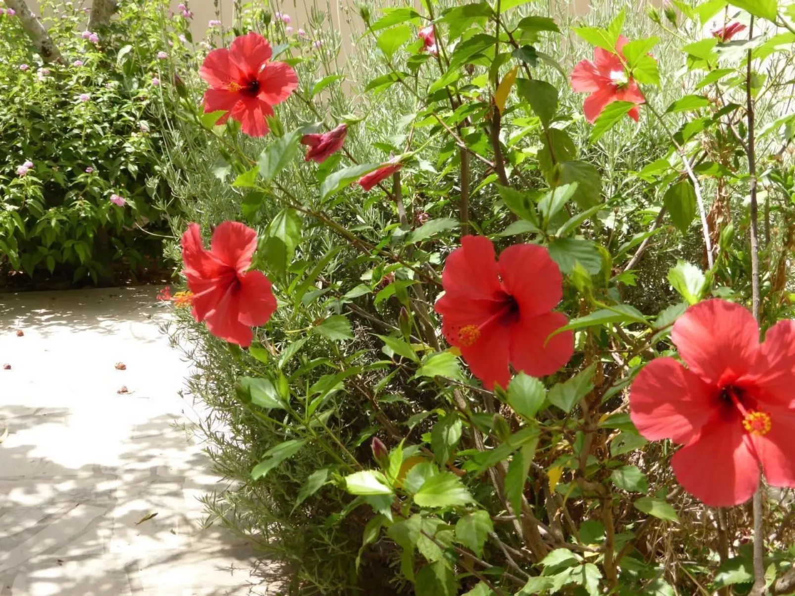 Schöner zentraler Bungalow direkt am Sandstrand auf Sizilien-Buiten