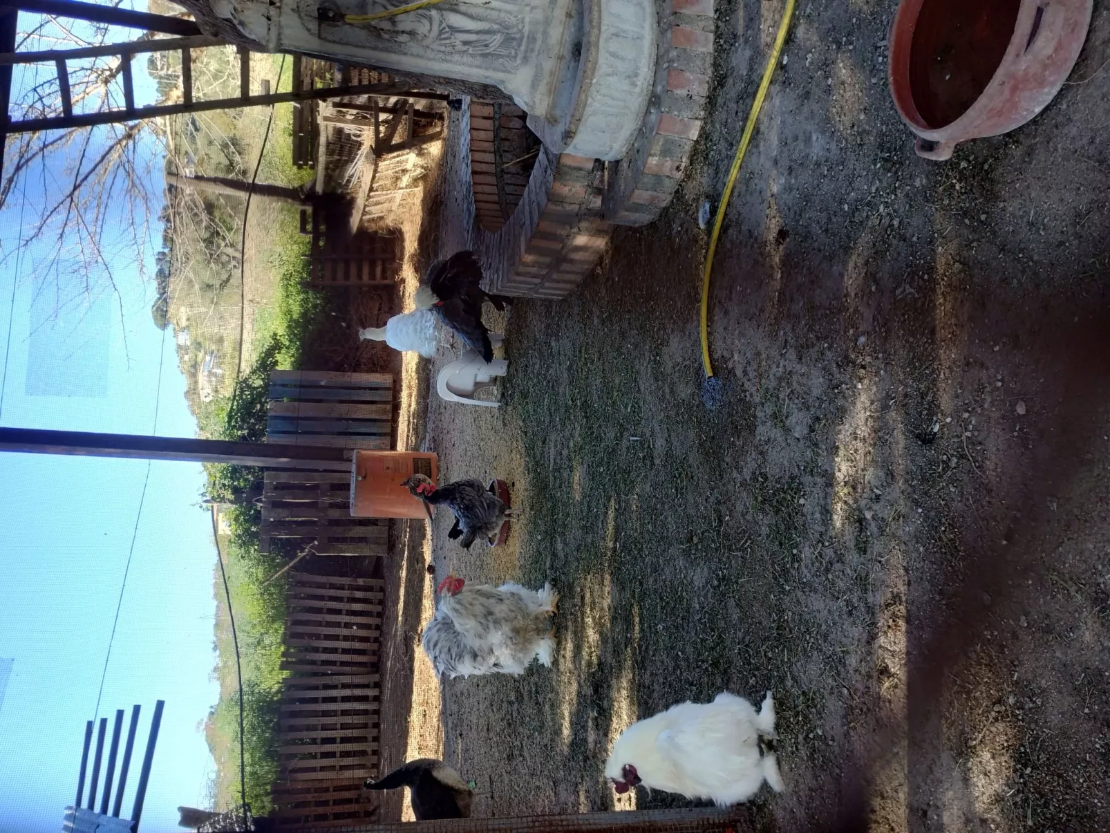 Residenz Heaven 41R-Image-tags.info