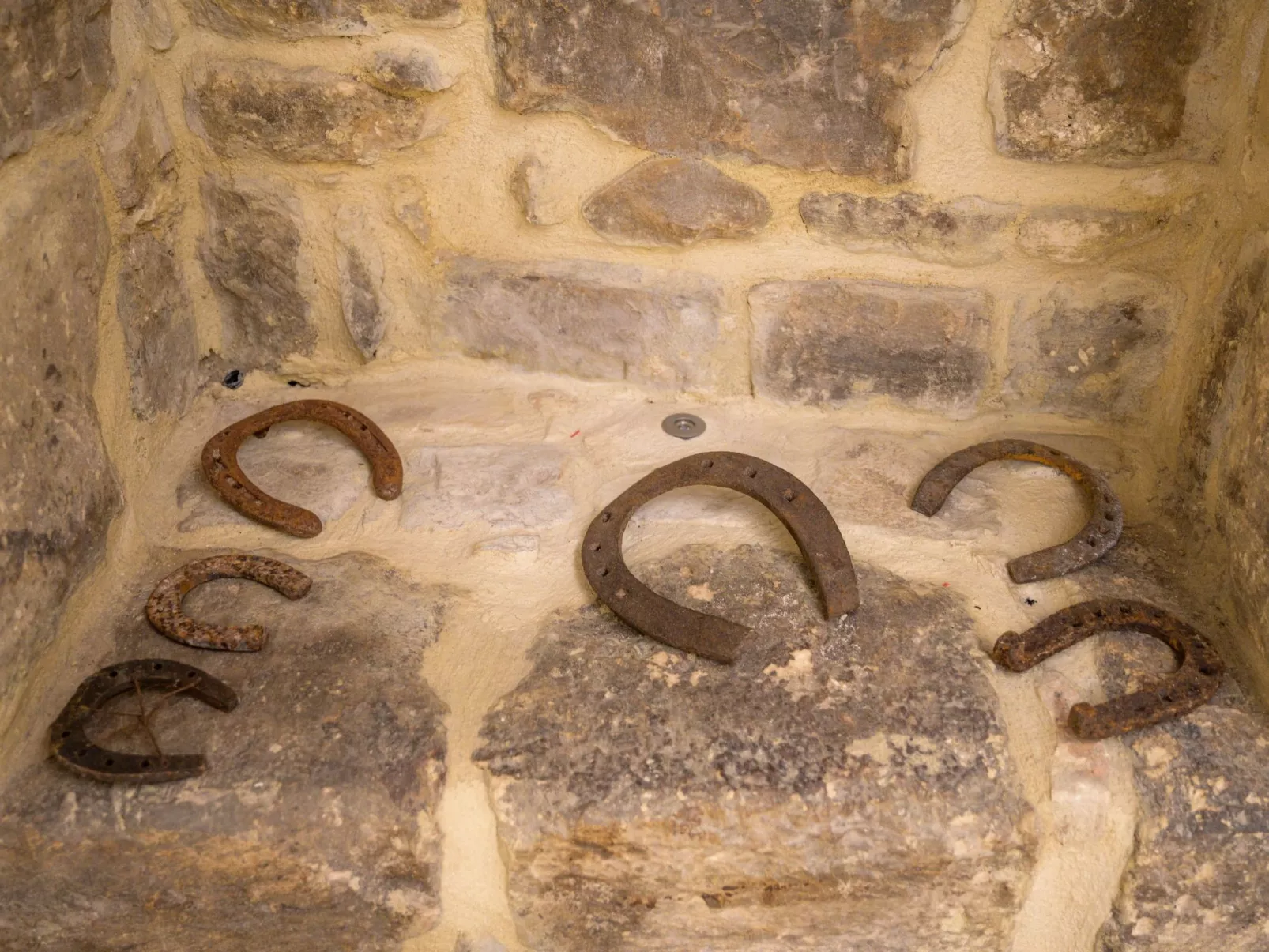 Wohnung 'Casa del Pozzo' mit Terrasse-Image-tags.info