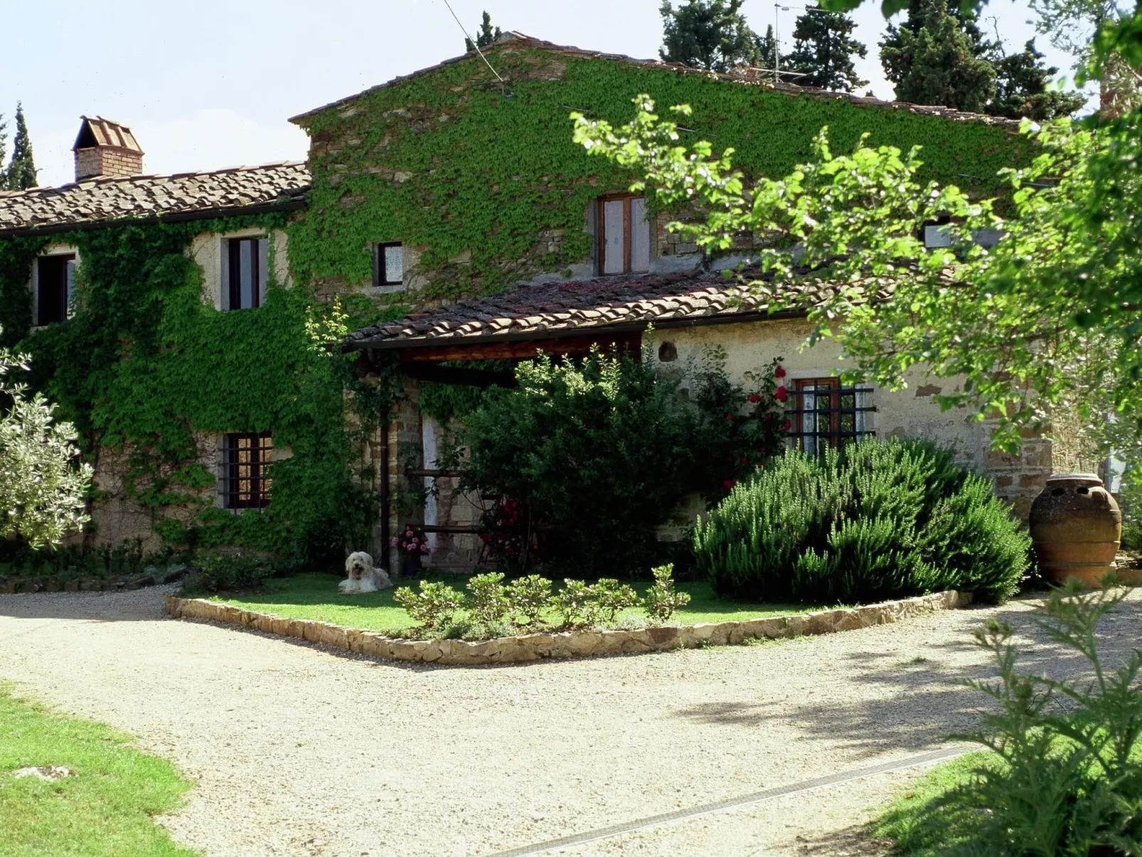 Urlaub flach weiß - Buiten