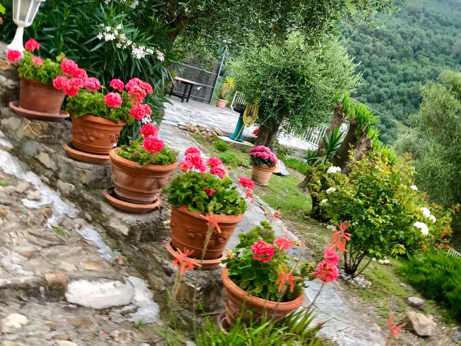 Casa Belvedere-Buiten