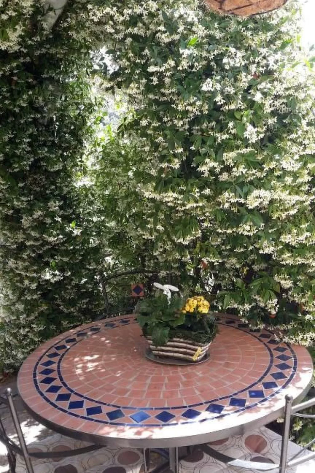 Agnese-Image-tags.info