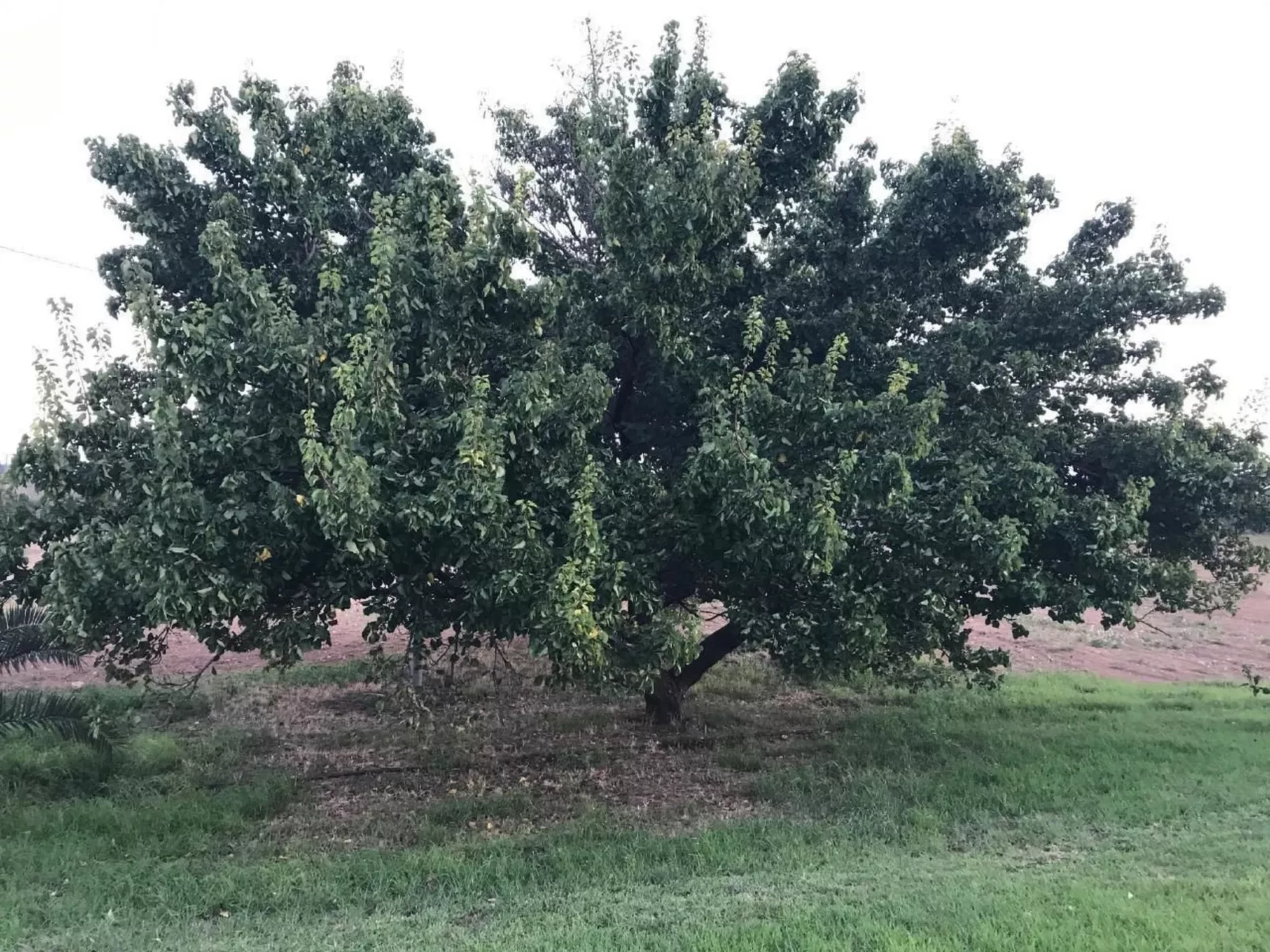 Design Vila mit Pool-Image-tags.info