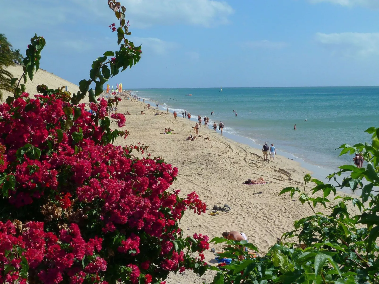 Buenavista Wohnung-Buiten
