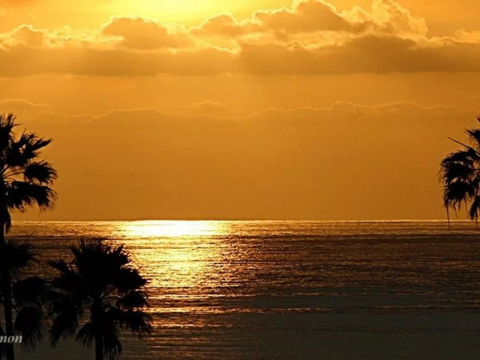 Luxusapartment-Buiten