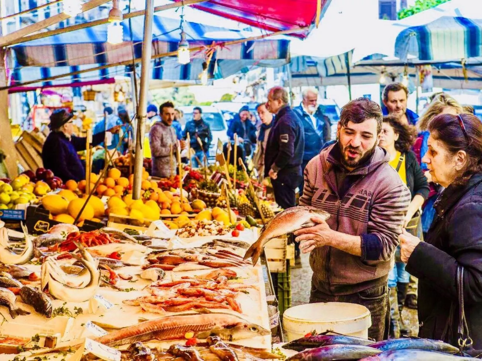 Wohnung "La Terrazza di Massimo-Image-tags.info