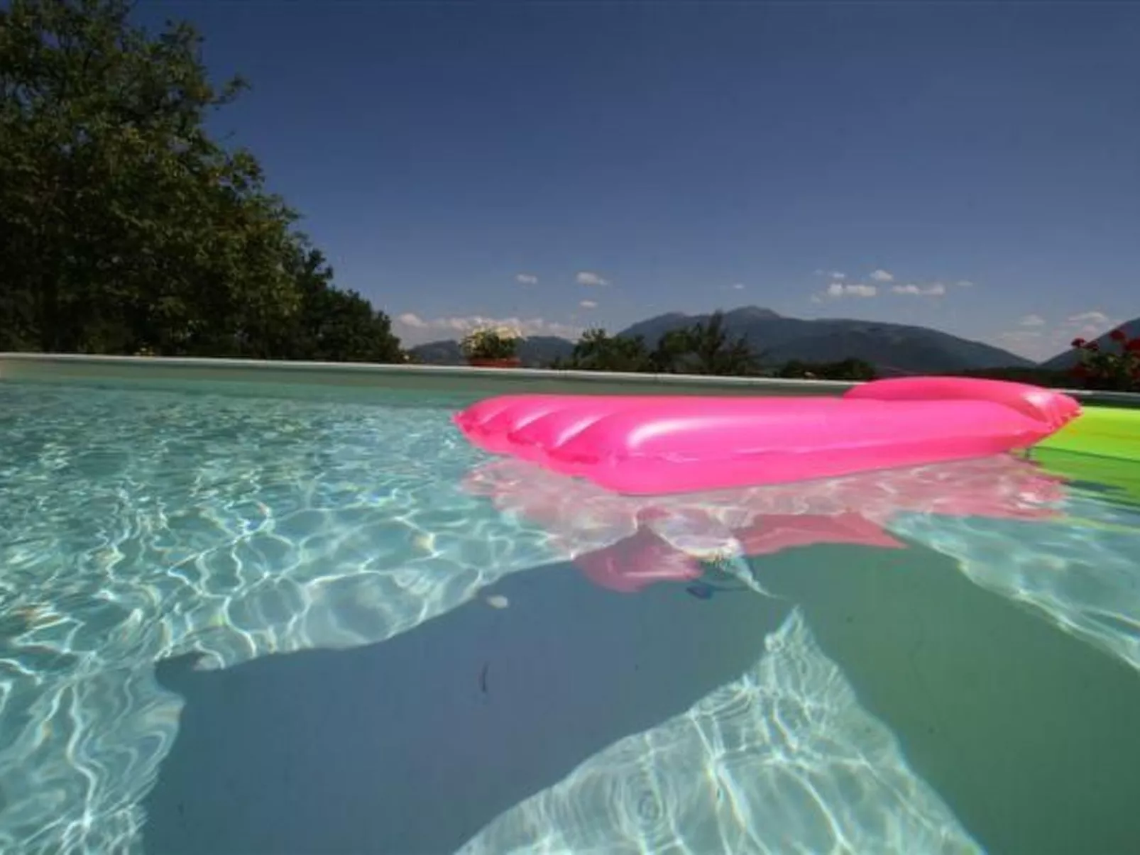 Flacher Flieder-Buiten