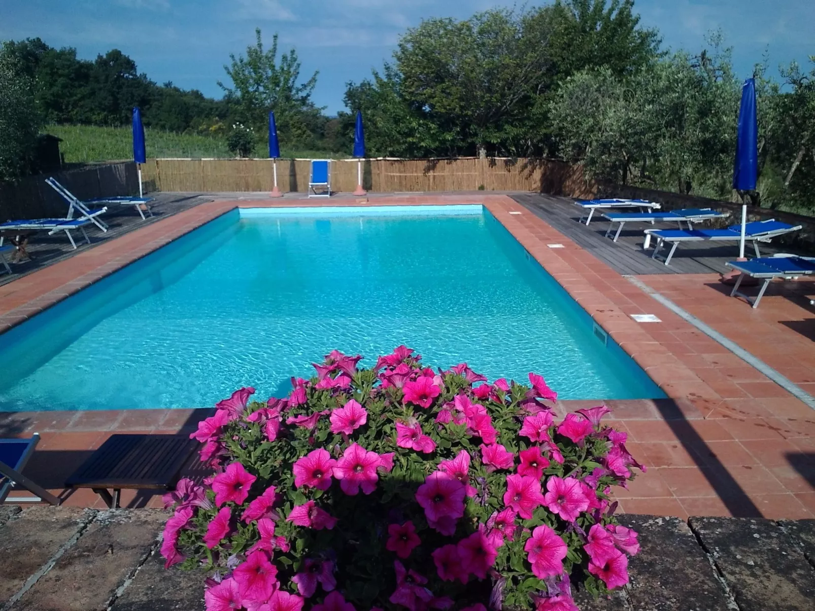 Wohnung Martius-Buiten