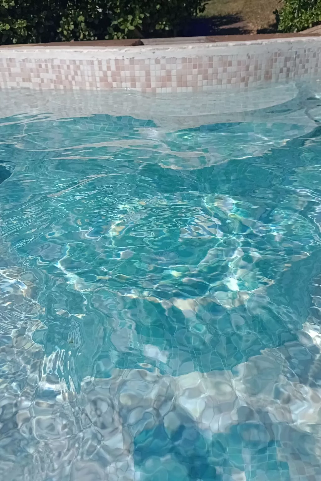 Zweizimmerwohnung mit Schwimmbad und Garten zur alleinigen Nutzung-Buiten