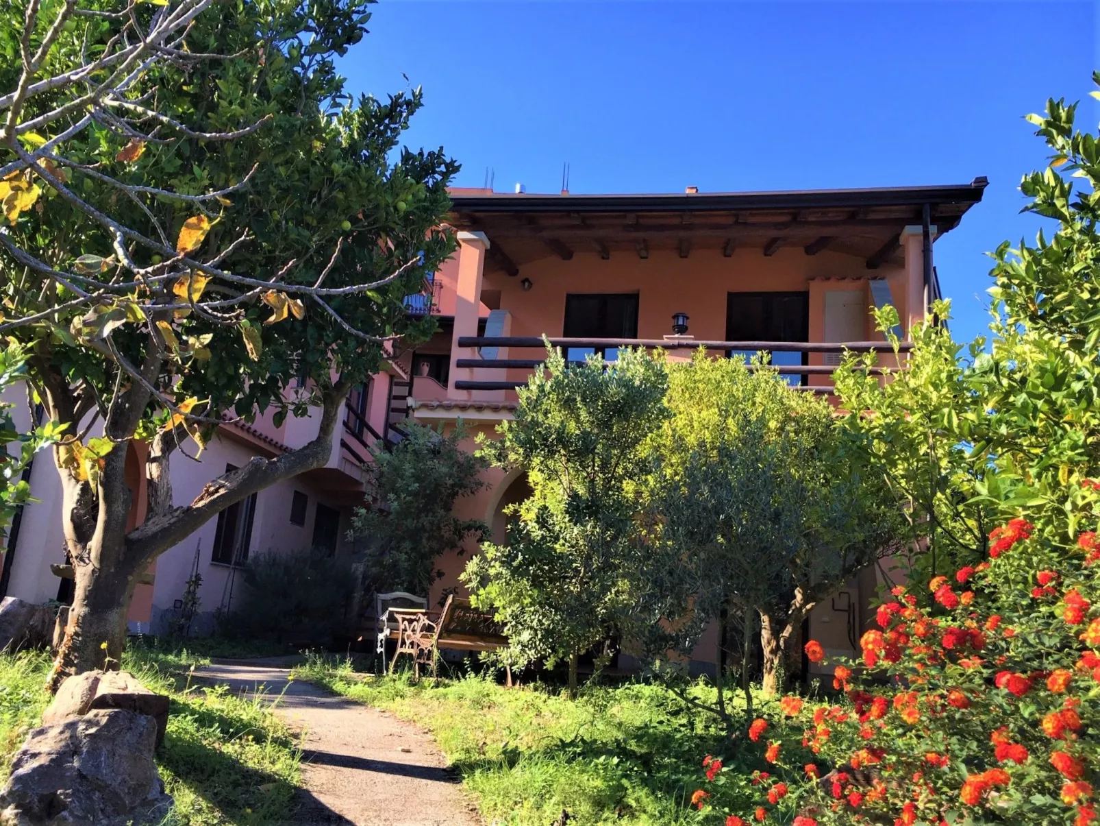 Flache Limone-Buiten