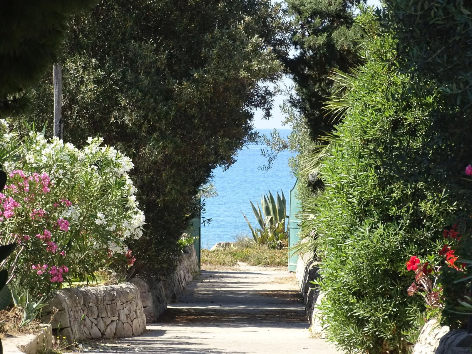 Mit grosser Terrasse direkt am Meer-Image-tags.info