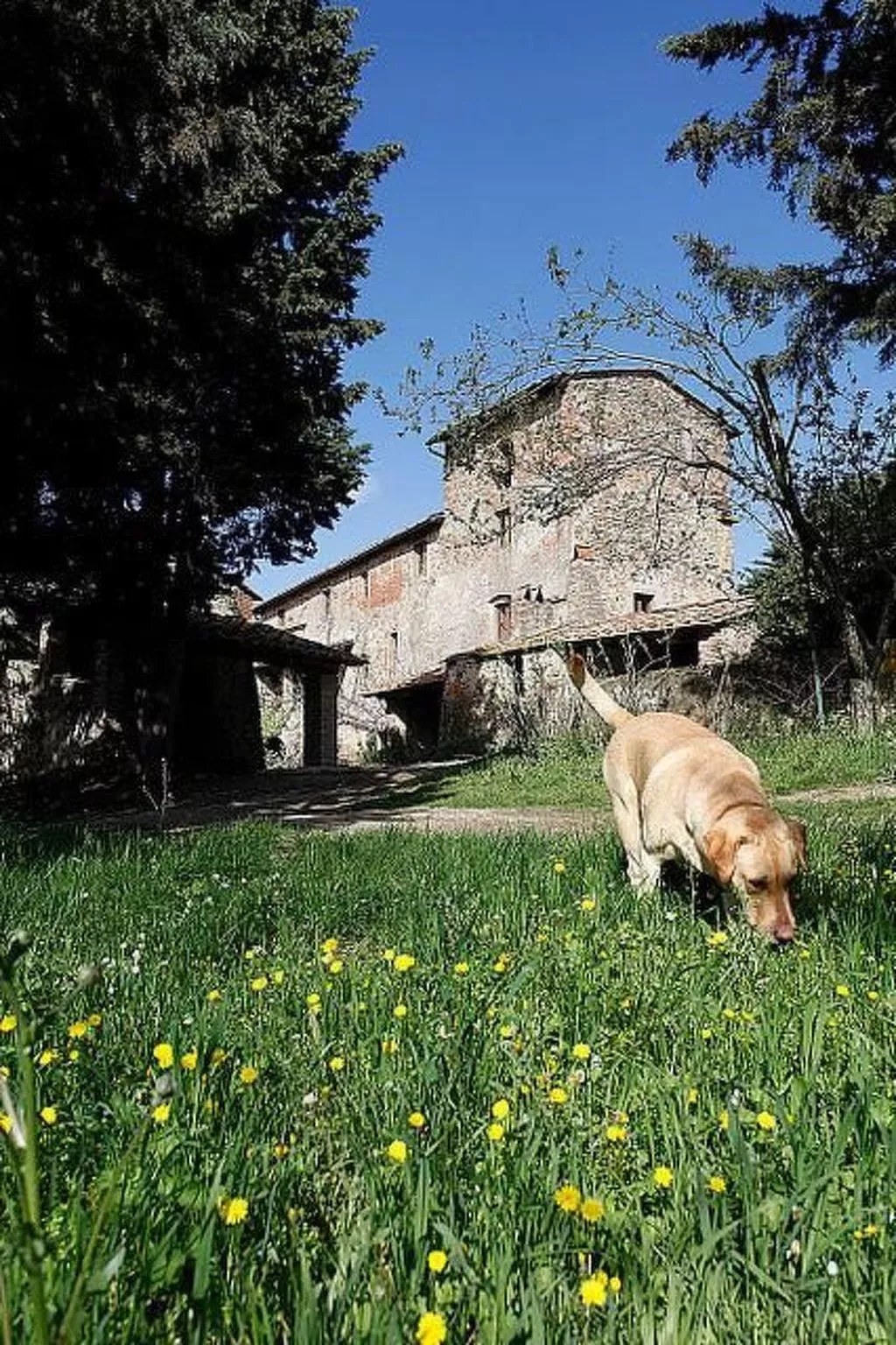 Casa Fallocchio-Buiten