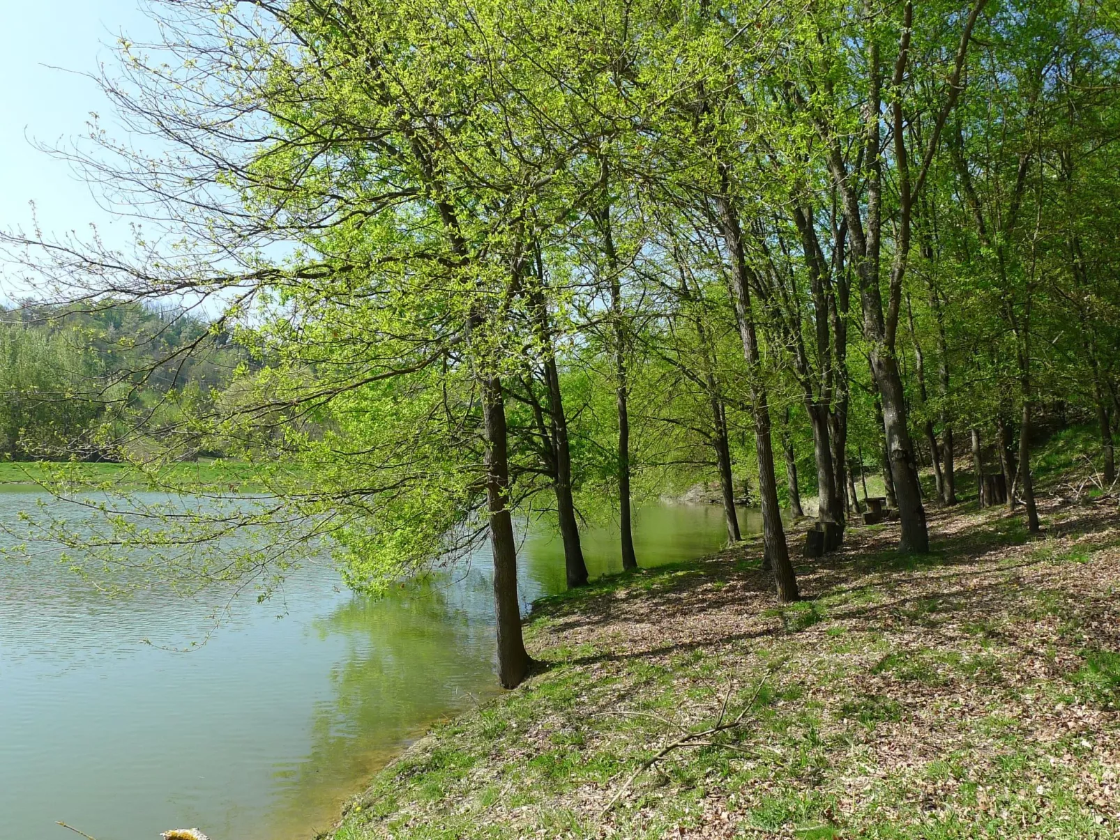 Große Wohnung mit 3 Schlafzimmern und 4 Bädern-Image-tags.info