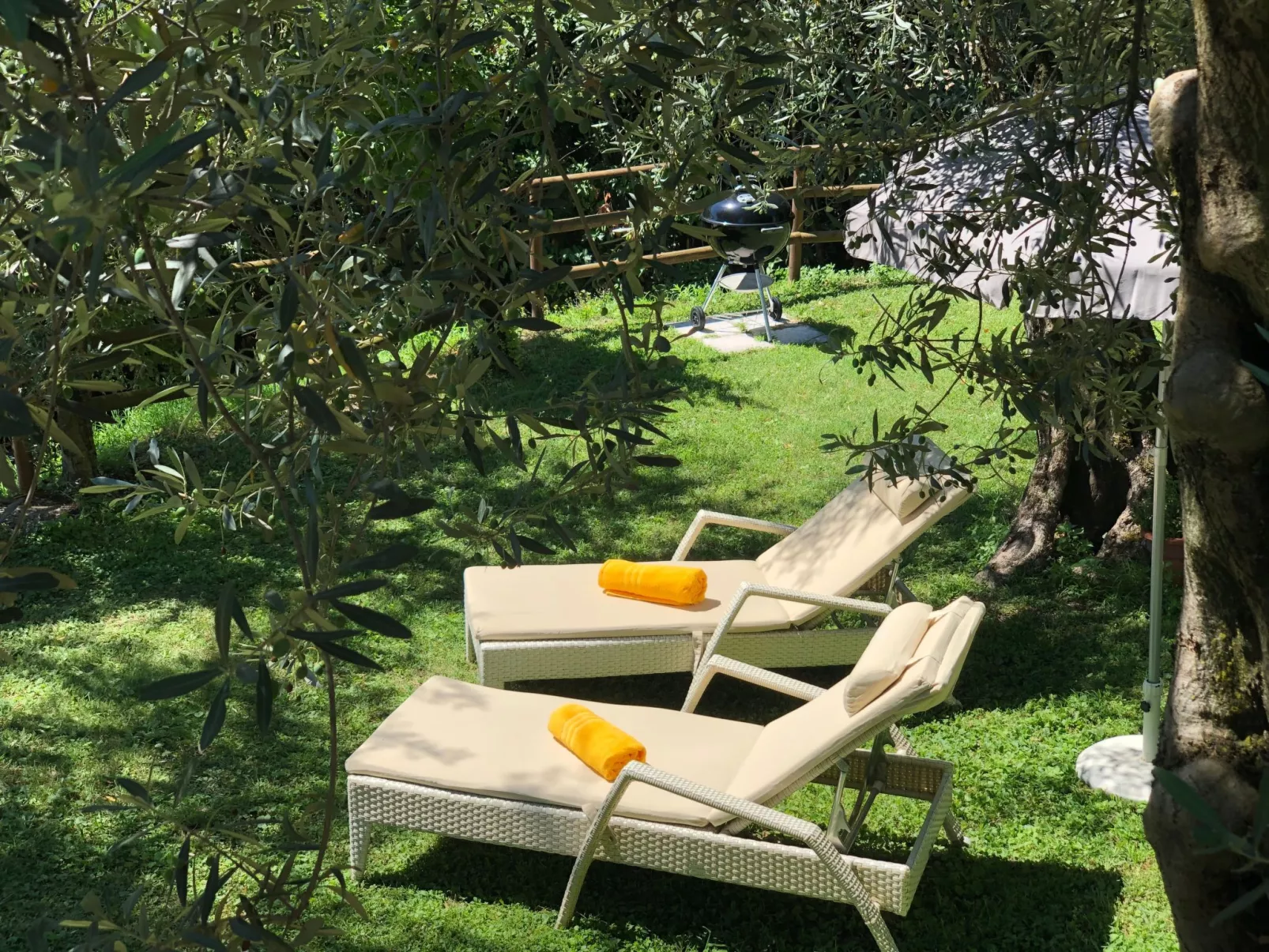 'Villa degli Ulivi-Buiten