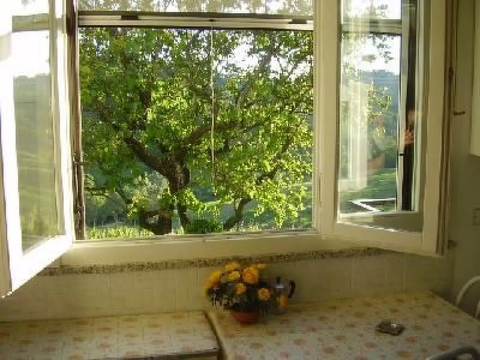 Wohnung mit Panoramablick für 2 Personen-Binnen