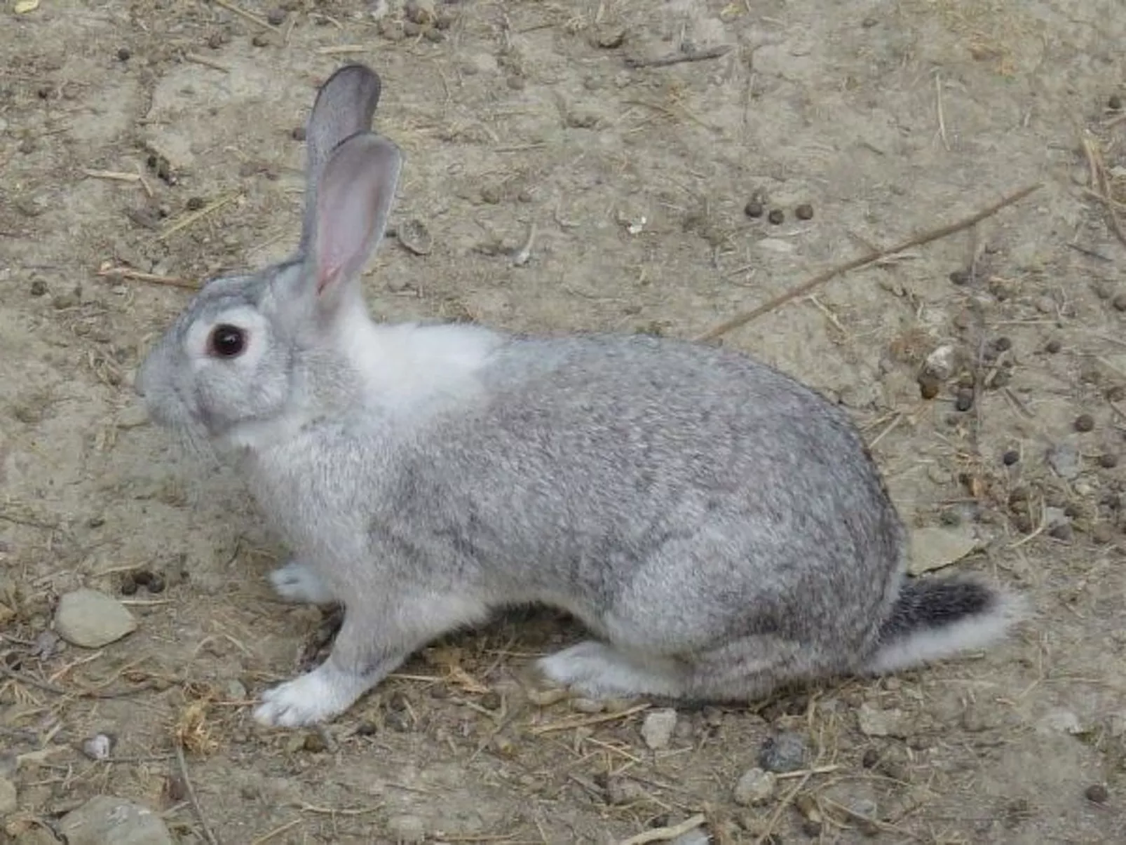 Intero Agriturismo-Image-tags.info