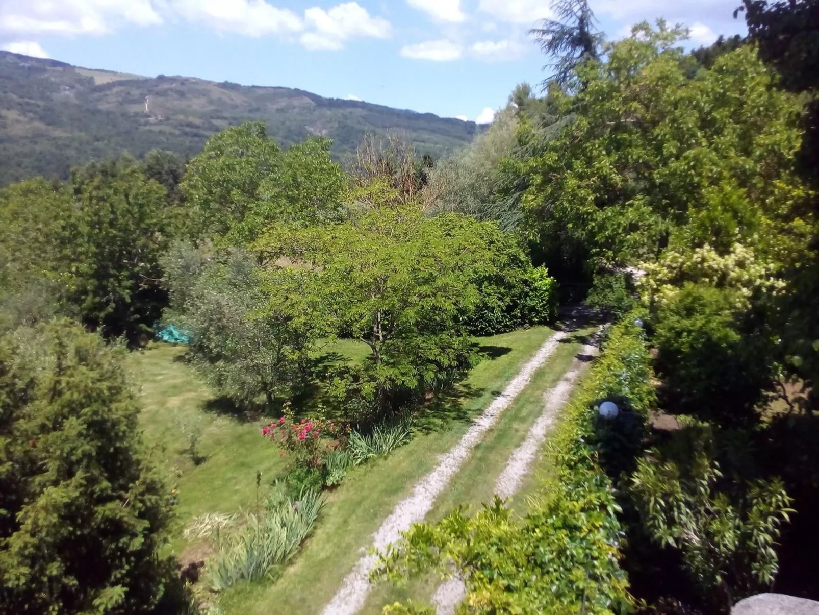 'Fasan' mit Balkon-Image-tags.info